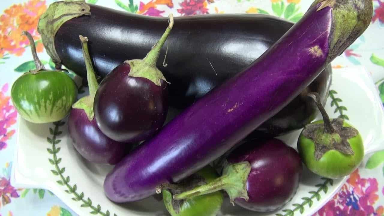 تصویر 4 از بادمجان لامپی درشت یکدست با بافت لطیف ایده آل پخت انواع غذا های خانگی